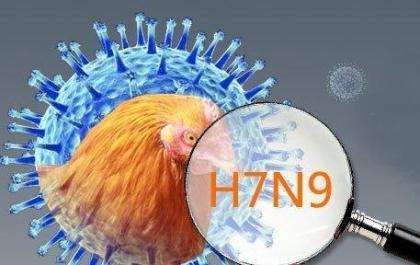 榆阳区家禽H7N9流感疫情得到有效控制