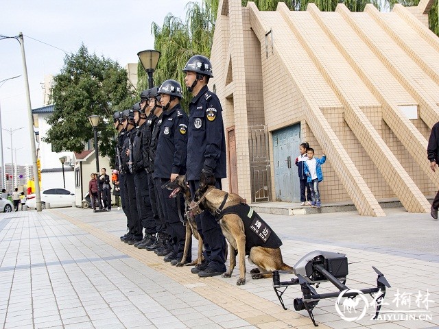 警犬 无人机 靖边巡警全服武装上演安防大片