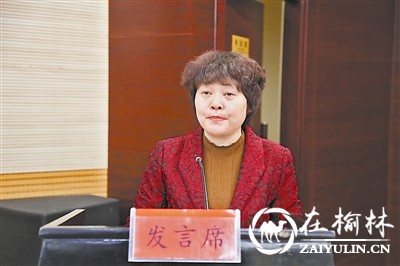 榆林市监察局副局长乔春玲：建议对城区排水系统升级改造