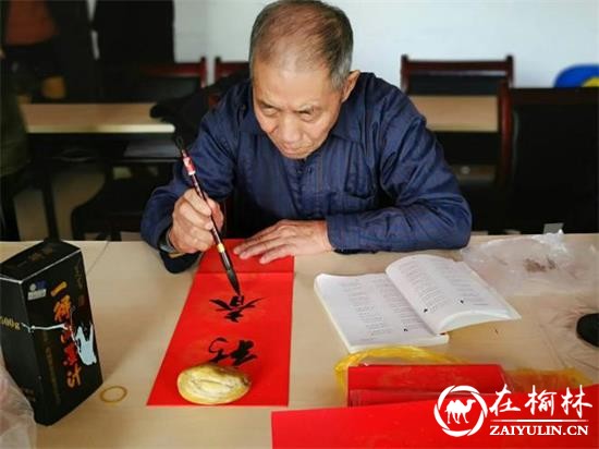 榆阳区金苑社区：社区送春联 墨香传祝福