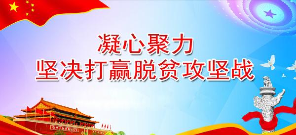 云君：社会力量对于打赢脱贫攻坚战至关重要