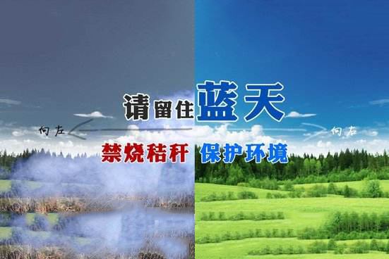 渭南市澄城县全力推进秸秆禁烧和综合利用
