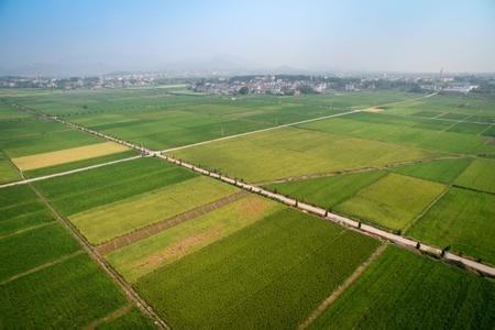 渭南市澄城县四个坚持积极推进粮食生产功能区
