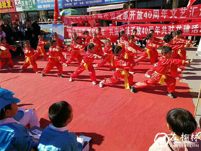 纪念改革开放40周年 榆阳区春苑社区举办迎国庆文艺汇演