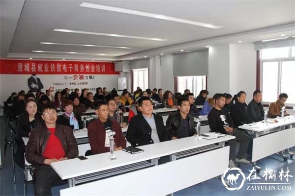 澄城县推进电子商务持续快速发展