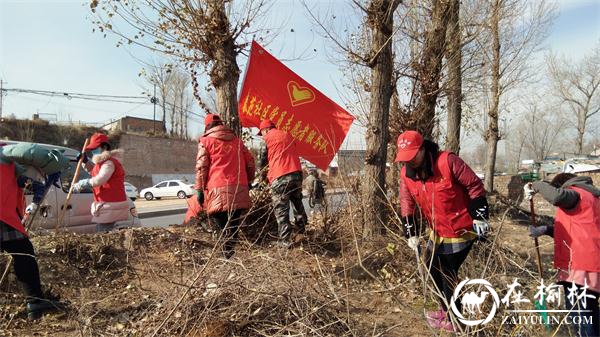 美丽大榆阳 我们在行动：崇文办春苑社区全体干部携手社区矫正人员共同助力