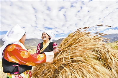 2018年国内十大新闻：中国迎来首个农民丰收节