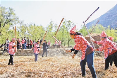 佳县“三变”改革助推乡村产业振兴