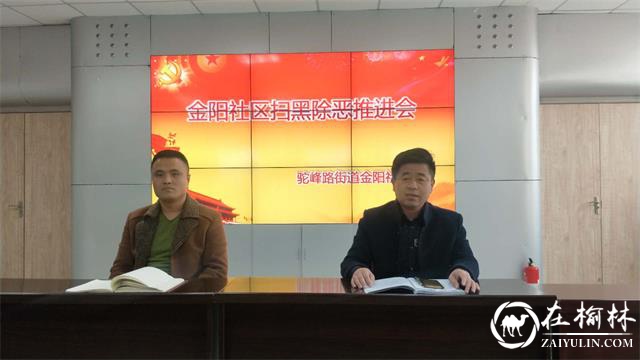 榆阳区驼峰办金阳社区召开扫黑除恶专项斗争工作推进会