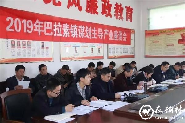 榆阳区巴拉素镇召开2019年度产业谋划座谈会