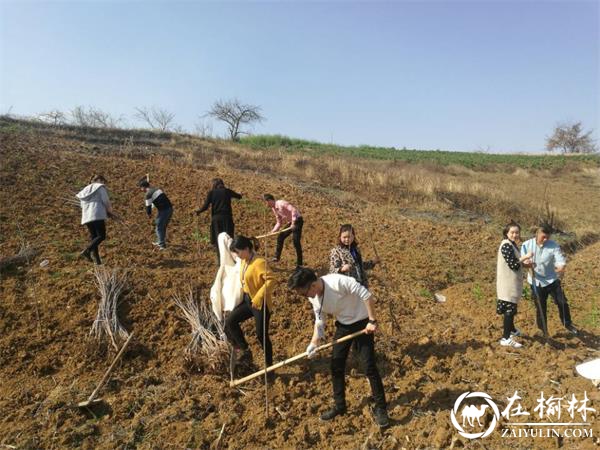 汉中市西乡县堰口镇大力植树造林促脱贫