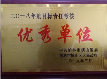 横山区统计局被评为2018年度目标责任考核“优秀单位”