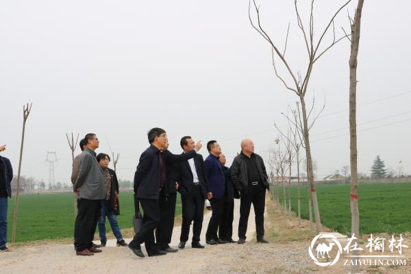 渭南市农业农村局一行来临渭区调研粮食安全生产