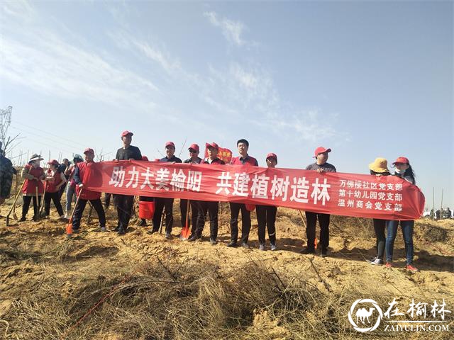 榆阳区万佛楼社区开展“助力大美榆阳 共建植树造林”义务植树活动