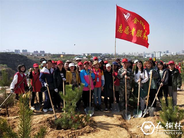 榆阳区驼峰办金阳社区：地球是我家 绿化靠大家