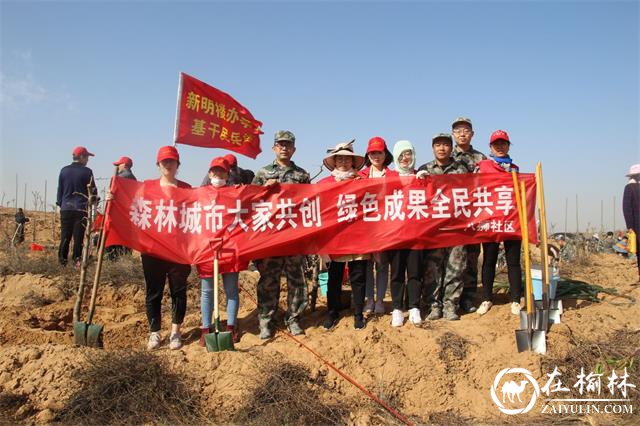 榆阳区八狮社区开展“我为城市增添一抹绿”义务植树活动