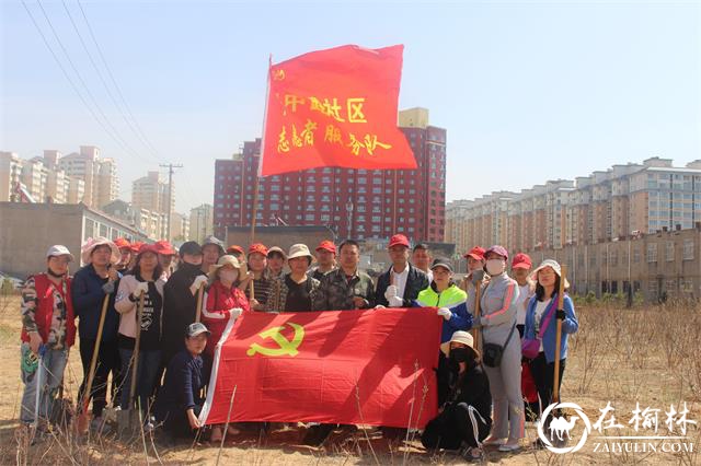 榆阳区驼峰办兴中路社区开展“共创森林城市 同添一抹新绿”植树活动