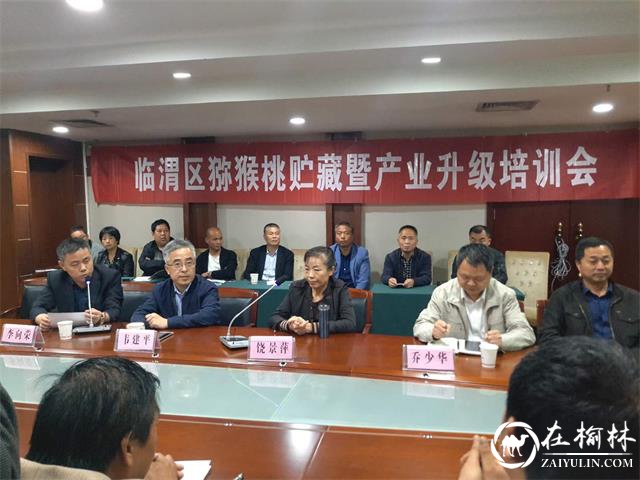 渭南市临渭区举办猕猴桃贮藏暨产业升级培训会
