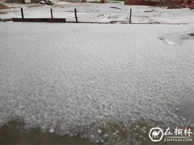汉中市西乡县突遭狂风冰雹袭击 干群协力生产自救