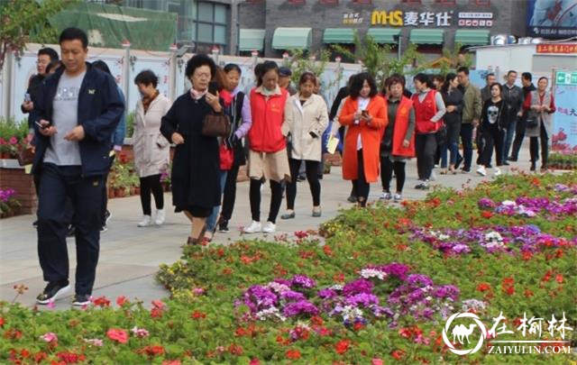 榆阳区新明楼街道<font color='red'>开展</font>“共建森林城市 共享生态文明”主题创森活动