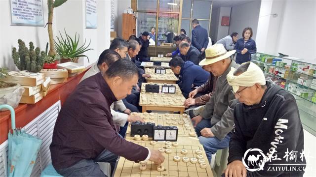 榆阳区驼峰办金阳社区举办象棋比赛 丰富居民文化生活