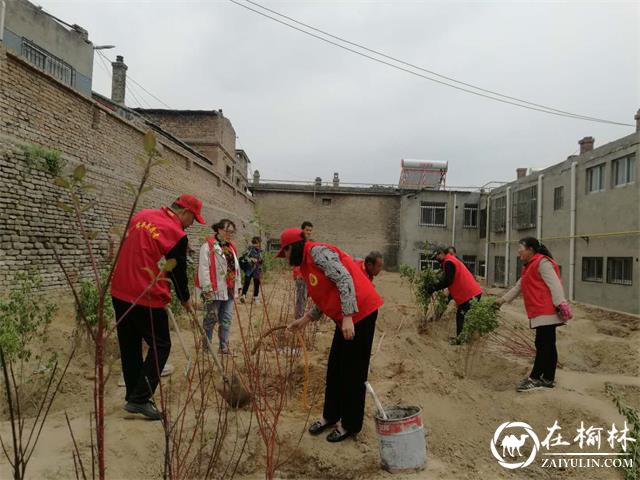 榆阳区新明楼街道办八狮社区因地制宜植树种花草