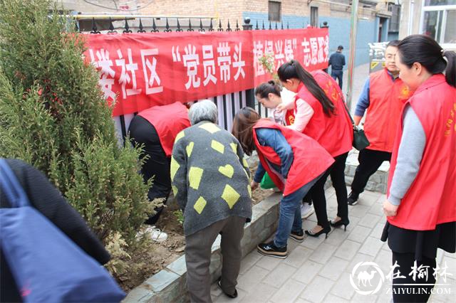 榆阳区新楼社区开展“党员带头 植绿兴绿”志愿服务活动