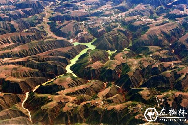 武俊祥:扶摇直上九万里