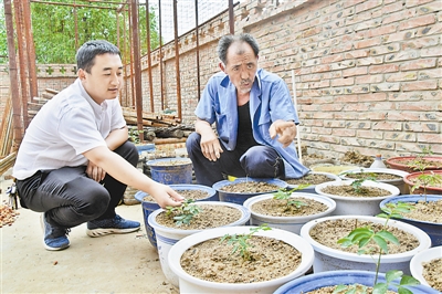 子洲县林场村村民李念胜：脱贫不等靠 勤劳摘穷帽