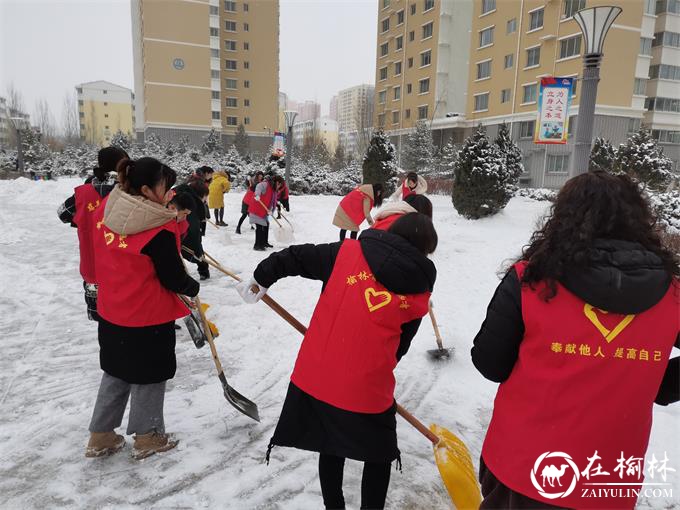 榆阳区驼峰办金阳社区：社区扫雪总动员 严寒清雪暖人心