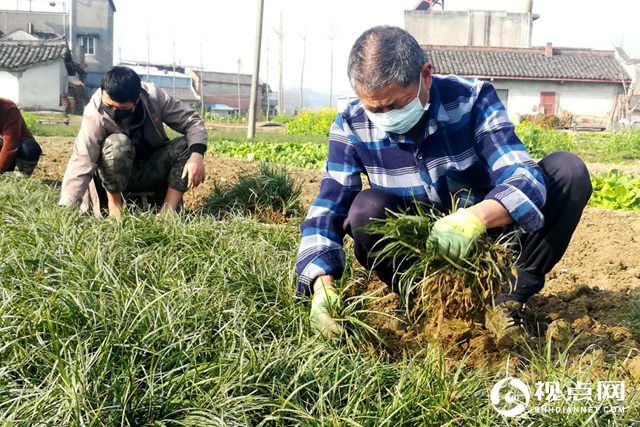 人勤春来早，四川省三台县春耕防疫两手抓两不误