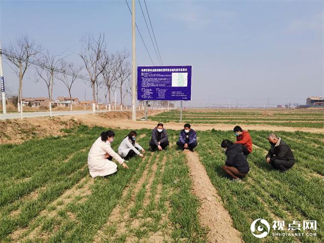 渭南市临渭区：小麦春管关键期 农技人员田间忙