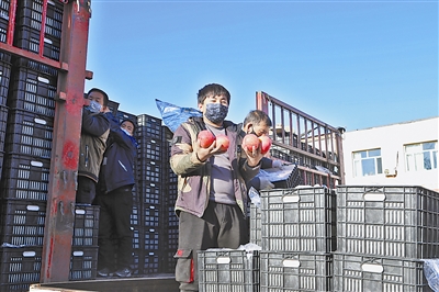 国家能源集团在米脂收购80吨苹果