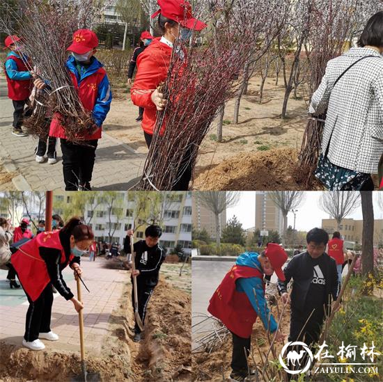 驼峰办金阳社区开展“种植希望.抗击疫情”植树志愿服务活动
