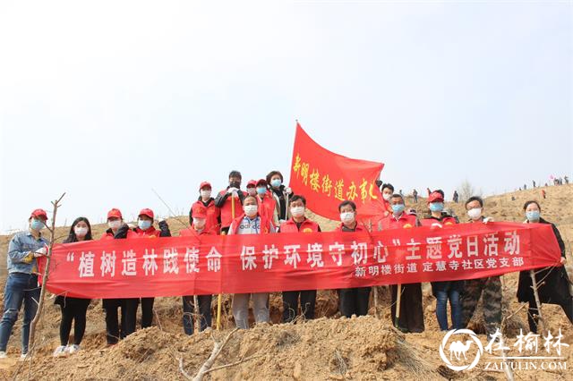 新明楼街道：义务植树添新绿 共建生态新家园