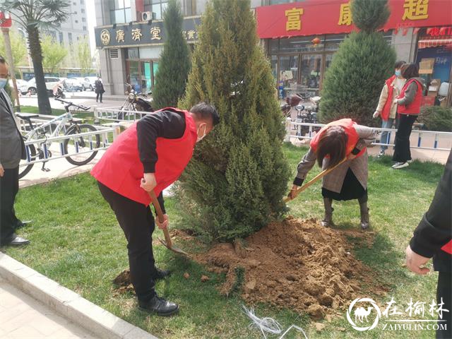 “相约春天，共添一片绿”——建业路社区志愿者服务队开展义务植树活动