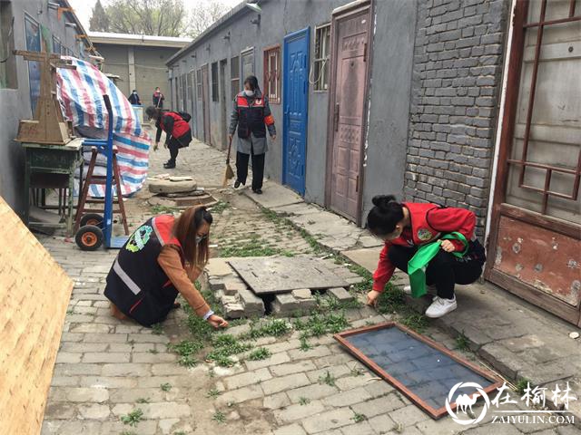 鼓楼街道办凯歌楼社区：防疫一线党旗飘扬党群一心 共筑清洁家园