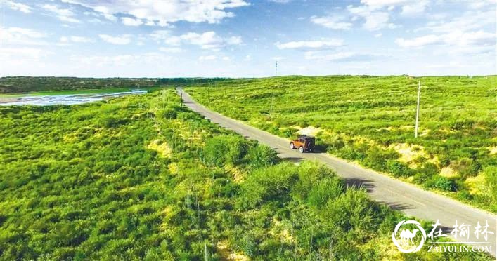 陕西省榆林市“清退”毛乌素沙漠的生态实践调查