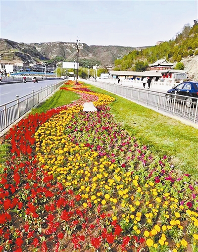 神木市32万株鲜花扮靓城区