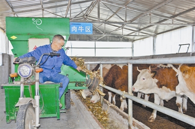 神木市精准帮扶 岗位技术送上门