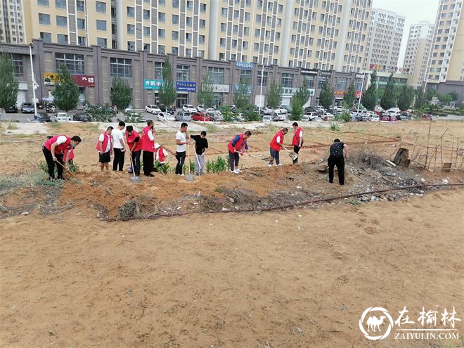 金沙路街道金榆社区14名社区矫正人员开展环境卫生清理