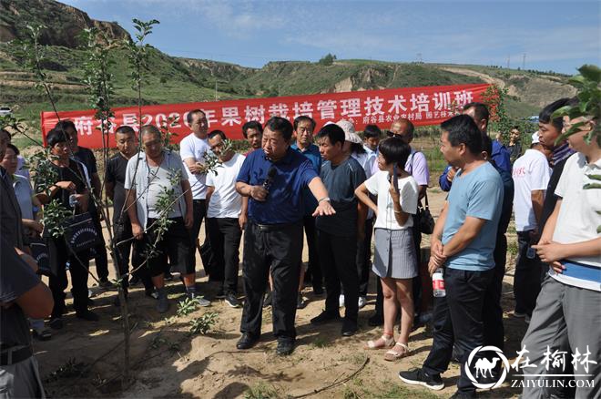 府谷县200名果农参加山地苹果实用技术集中培训