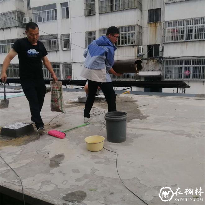 新明楼街道：退役军人成社区小帮手，服务群众零距离