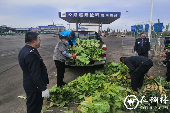 神木市碾房峁治超站职工菜园子喜获丰收