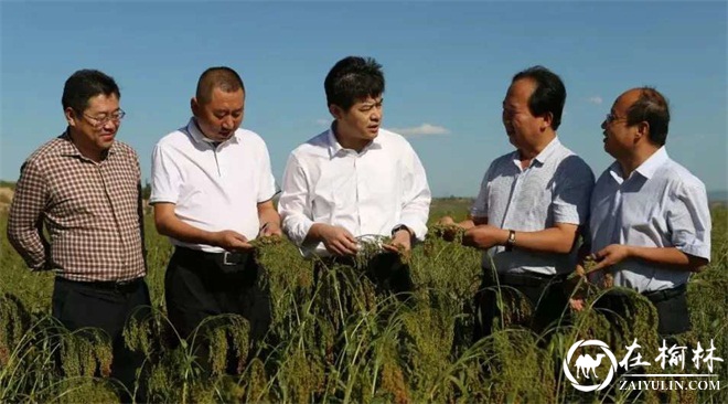 府谷县农村产品品种多样性已初具规模