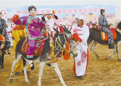 群众乐享文旅大餐——定边县第四届红花荞麦文化旅游节侧记