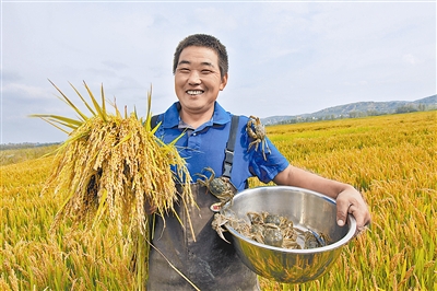 榆林瓜果飘香粮食丰收，红橙黄绿好“丰”景