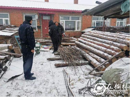 黑龙江省林区公安局通北分局成功破获一起盗伐林木案