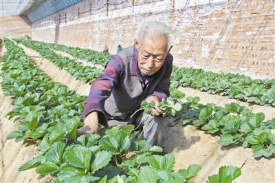 神木市店塔镇梁家塔村：致富路通到了家门口