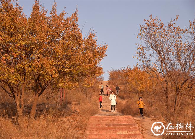 靖边县“十三五”经济社会发展综述